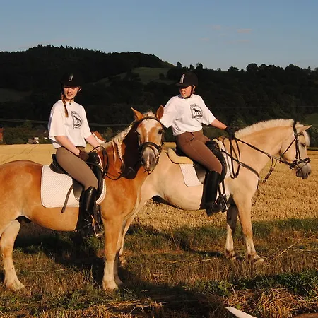 Gut Appartement Dankerode (Hessen)